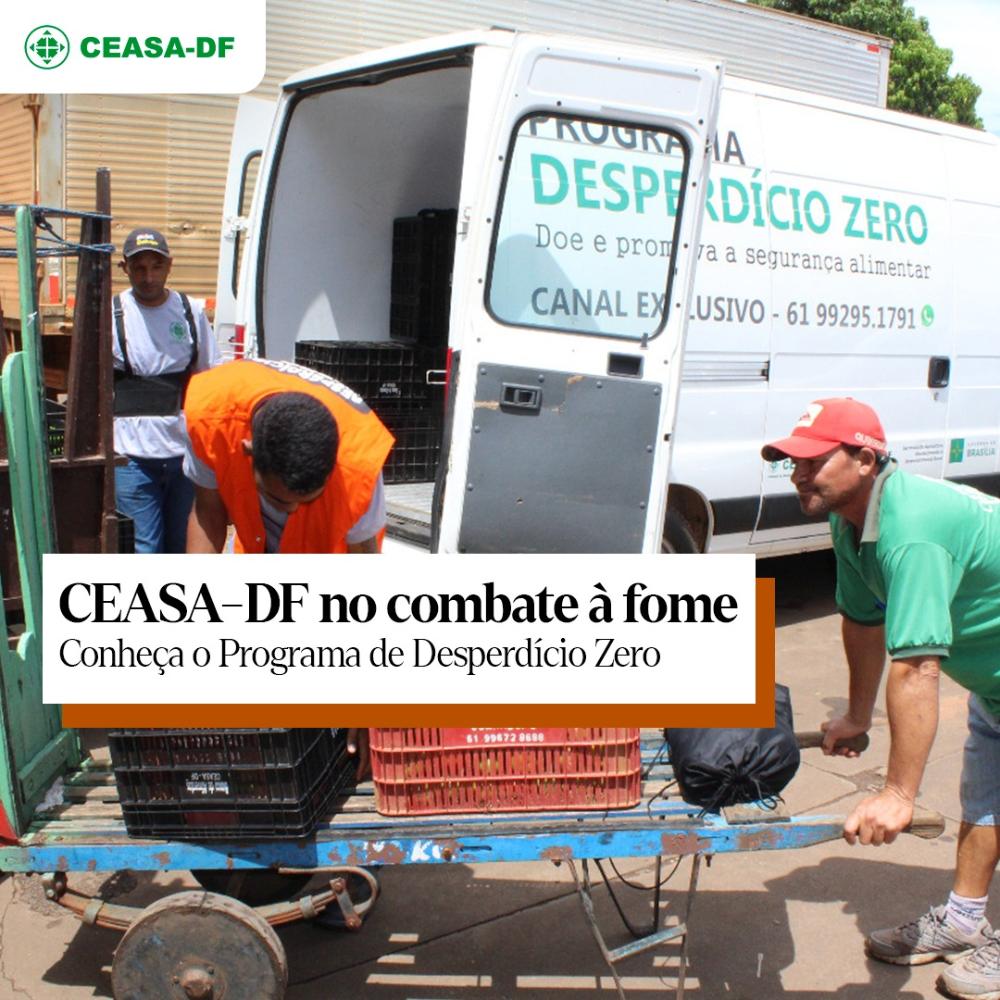 Desperdício zero pode ser a solução para diminuir a fome
